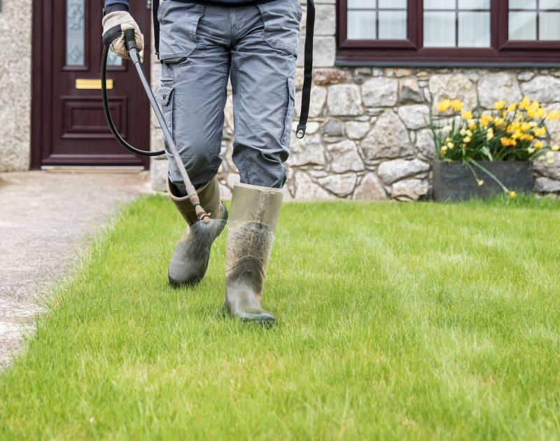 Masonry Project in Spring