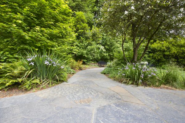 Stone Hardscape Service in Haverhill